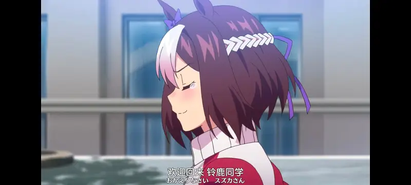 赛马娘,赛马娘PrettyDreby,动画,动漫,番剧,ACG