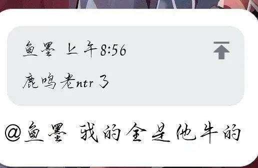 闲聊茶馆,宠物