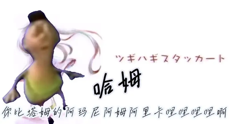 拼凑的哈姆