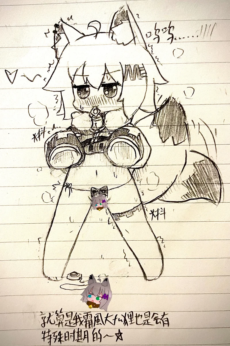 ＊处于一种付费状态的霜风……☆