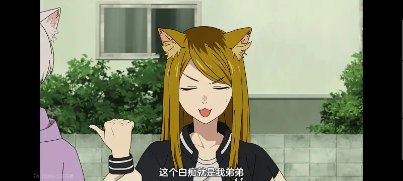 尼古喵喵,雅尼猫,动画,动漫,番剧,日漫,二次元,ACG
