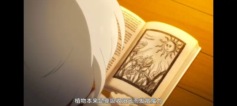 魔女之旅,魔女的旅途,动画,动漫,番剧,ACG