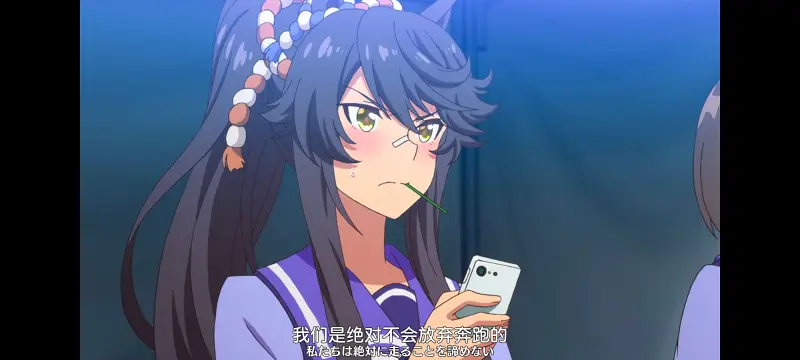 赛马娘,赛马娘PrettyDreby,动画,动漫,番剧,ACG