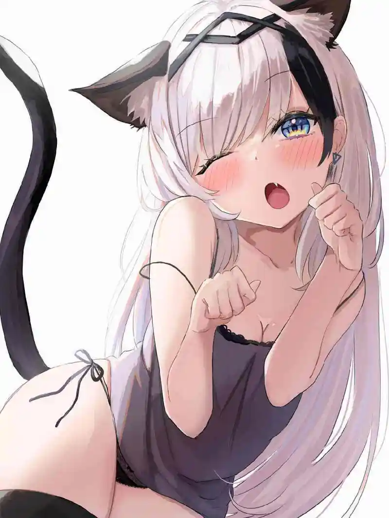 M站美图,动漫