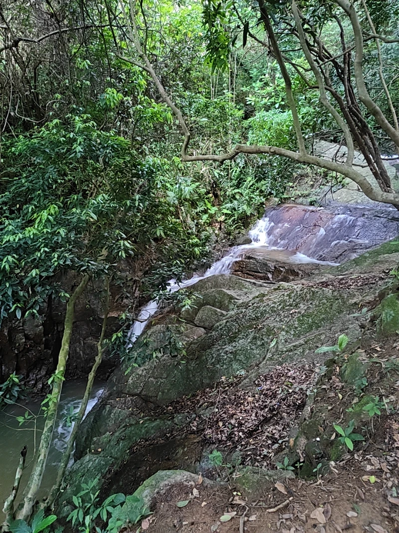 登山,阳台山,羊台叠翠