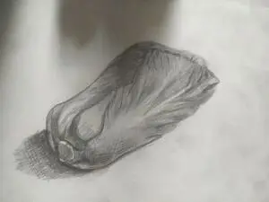 第二届喵喵杯,素描,绘画,手绘
