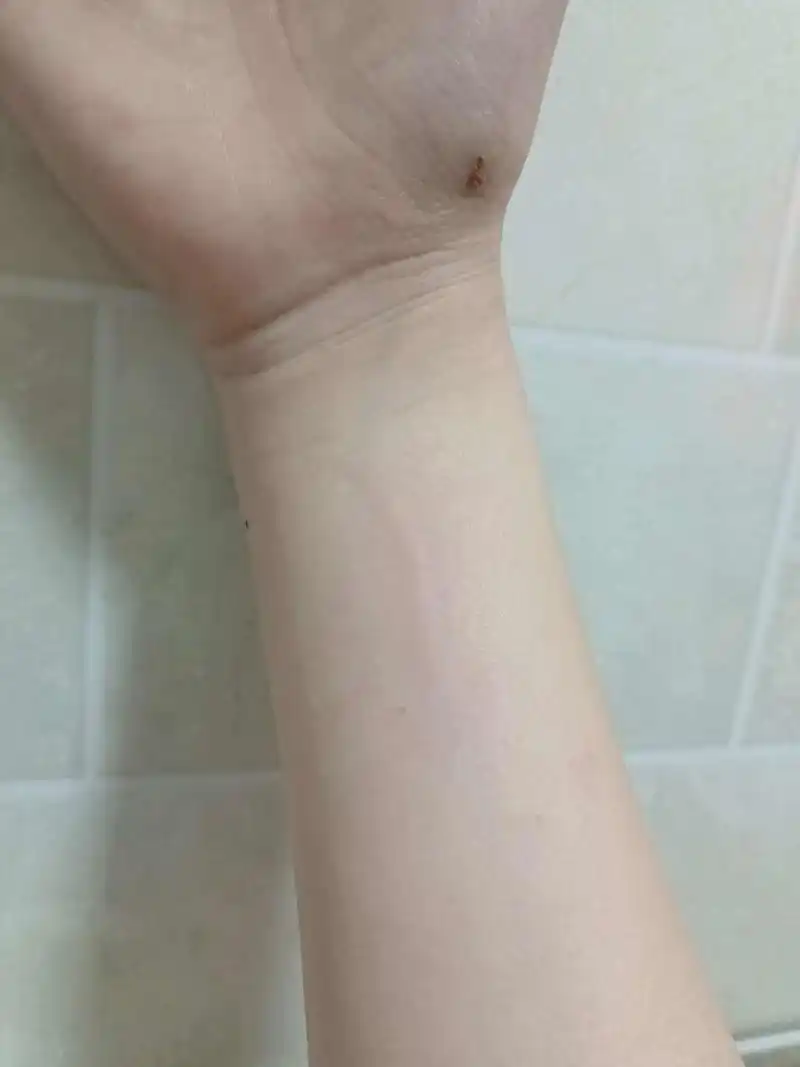 听说今天是猫の日？QAQ