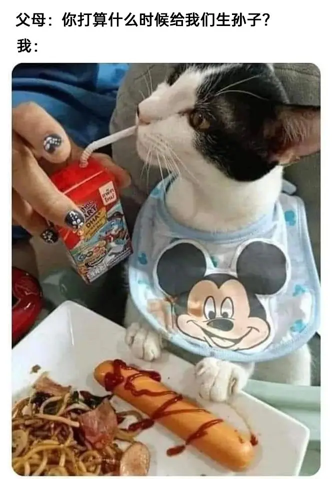 meme,模因,搞笑