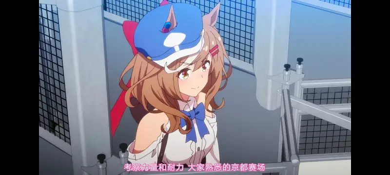 赛马娘,赛马娘PrettyDreby,动画,动漫,AMV,MAD,二次元,ACG