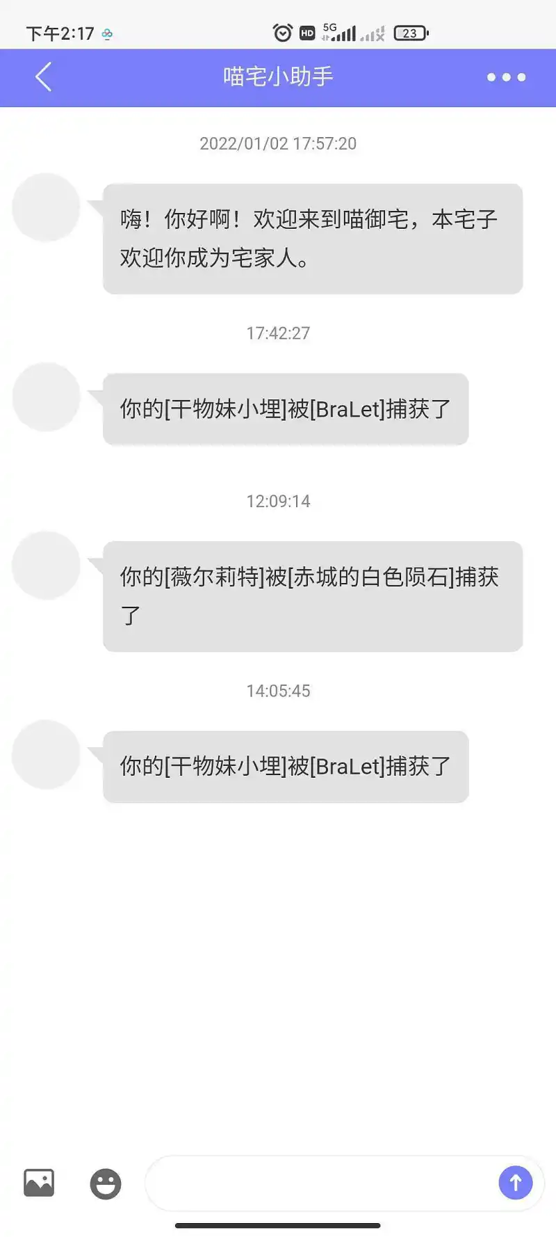 关于m站的宠物功能