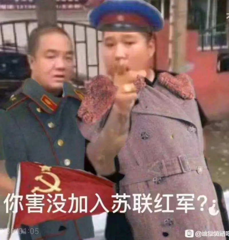闲聊茶馆,动漫,美女,宠物