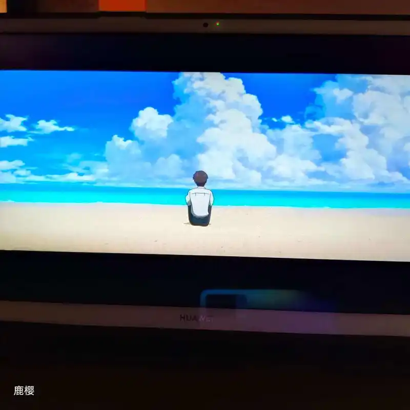 用户交流,动漫,鹿樱