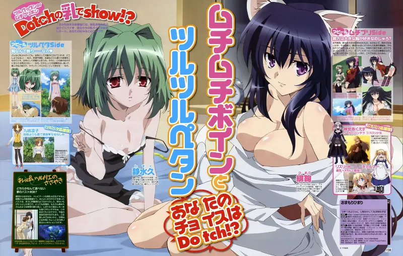 NyanType #4 2010-01