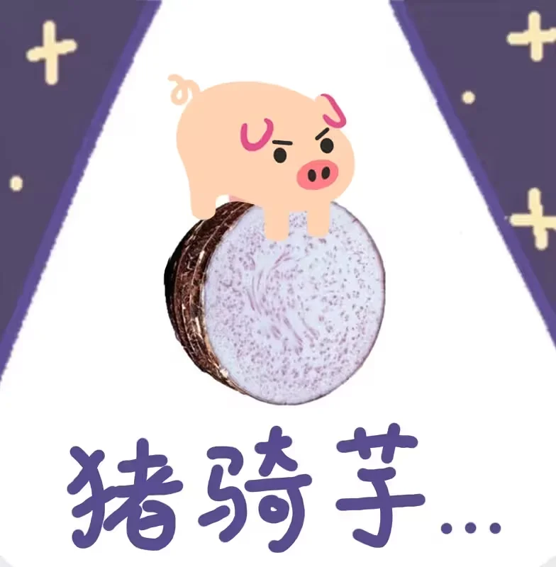 猪猪表情包,不准备,谷歌猪