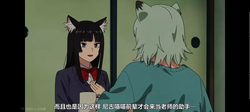 尼古喵喵,雅尼猫,动画,动漫,番剧,日漫,二次元,ACG
