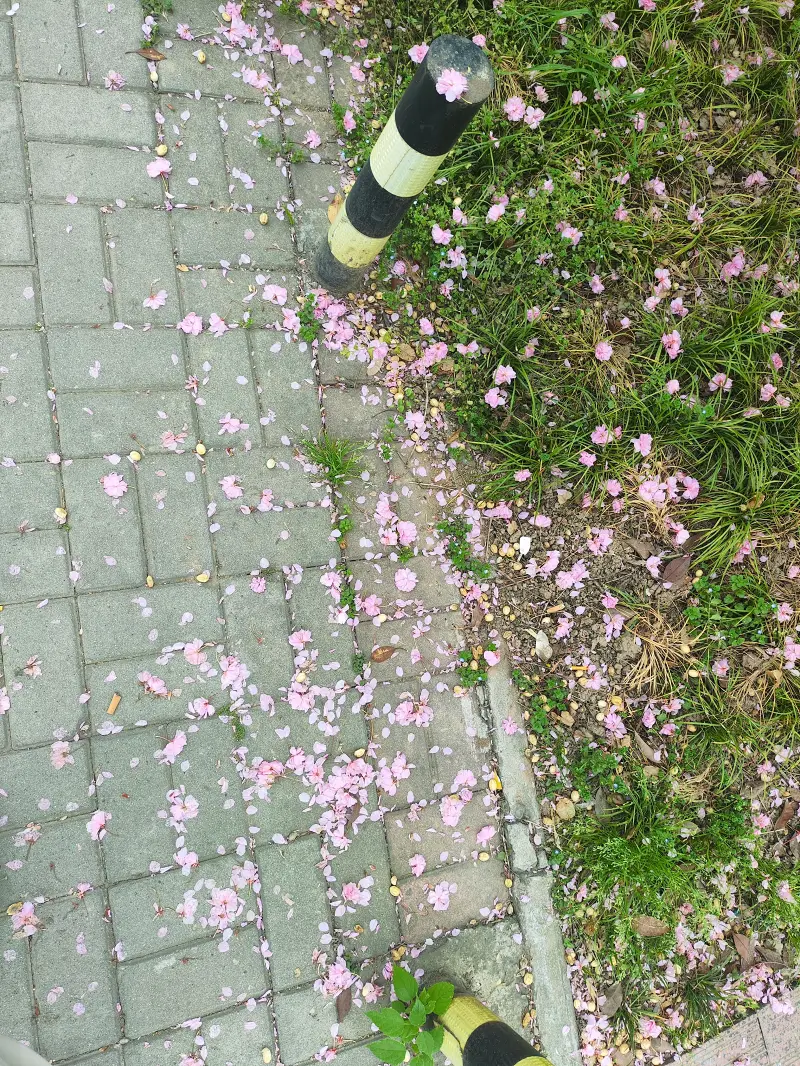 追忆