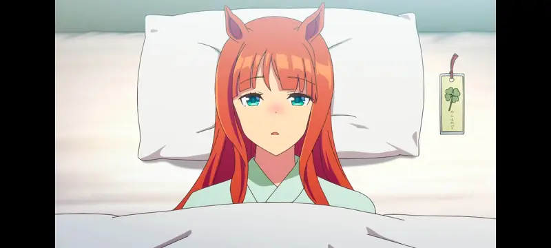 赛马娘,赛马娘PrettyDreby,动画,动漫,番剧,ACG