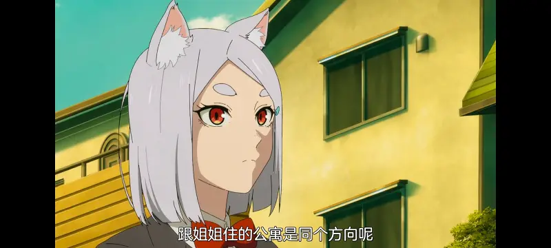 雅尼猫,尼古喵喵,动画,动漫,番剧,日漫,二次元,ACG