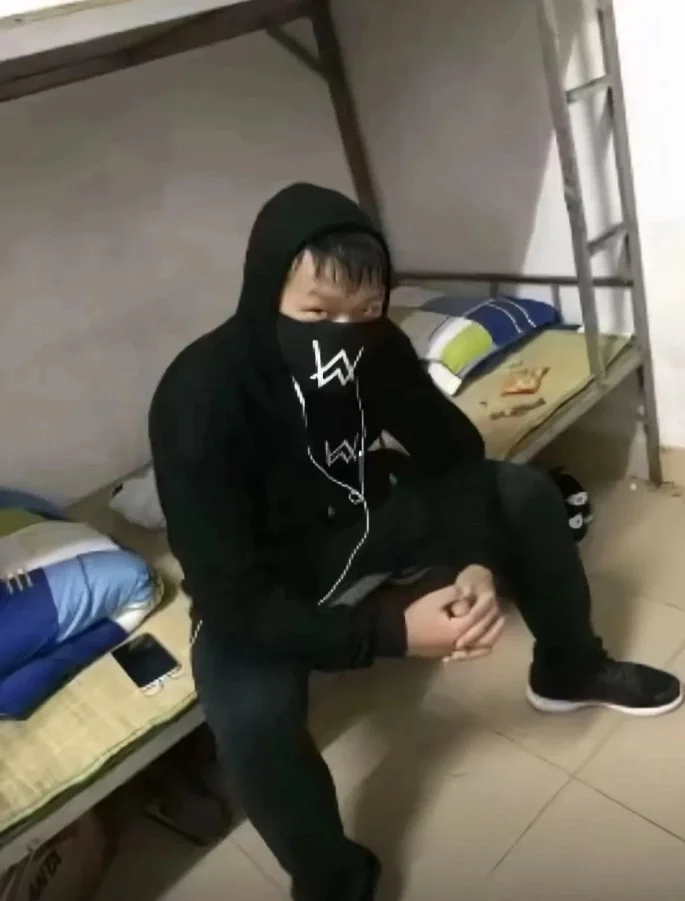 《嘉豪图鉴+嘉豪论》