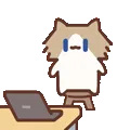表情包,月薪喵,猫咪表情包,猫meme,哈基米