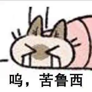 闲聊茶馆,宠物