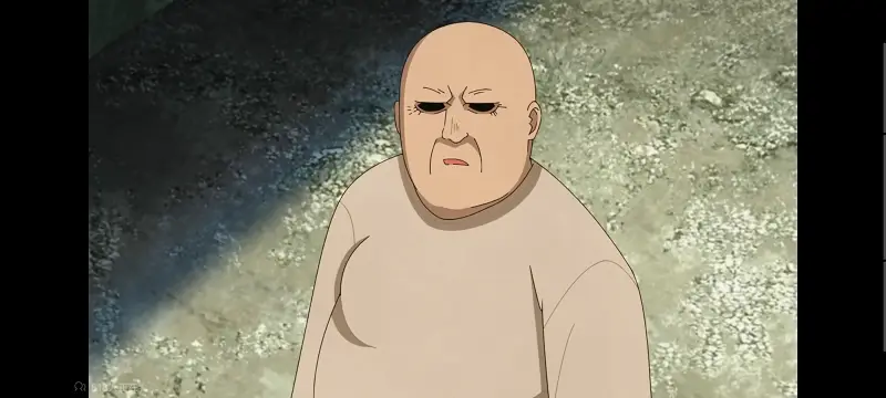 尼古喵喵,雅尼猫,动画,动漫,番剧,日漫,二次元,ACG