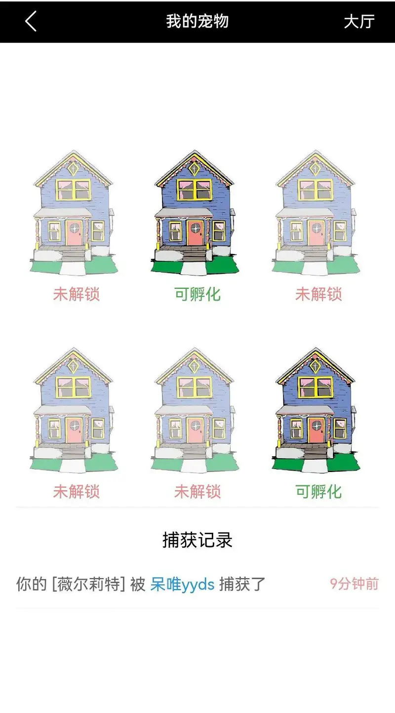 宠物