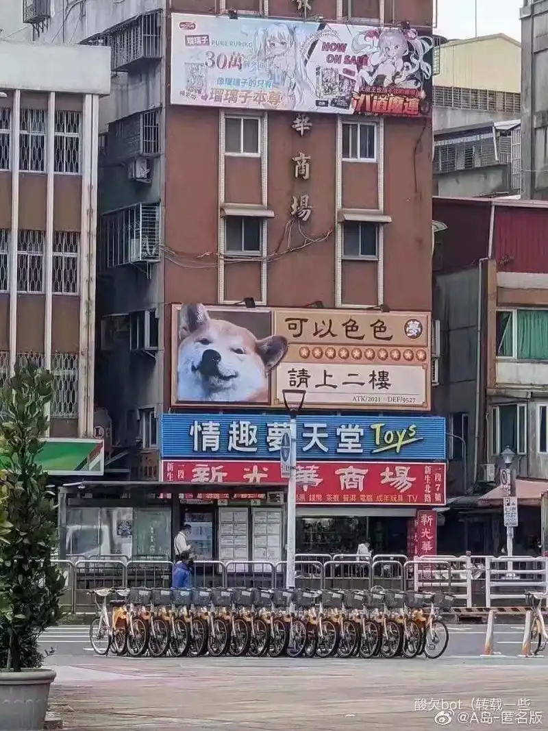 用户交流,生草,草