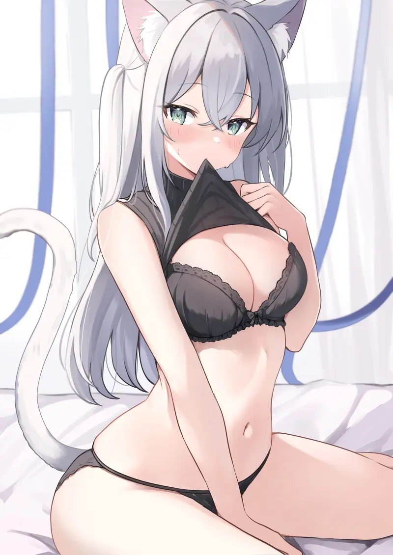猫娘,涩图,二次元