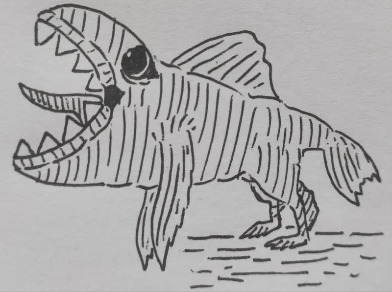 鱼🐟