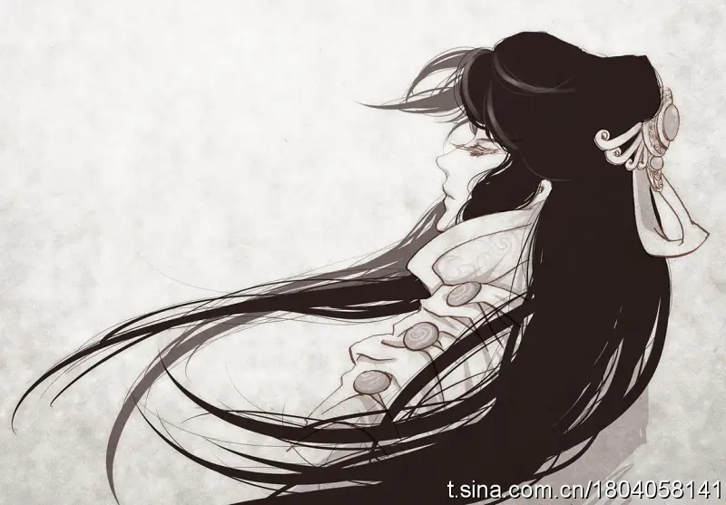 【布袋戏】MV合集------作者： Echo鹤溯