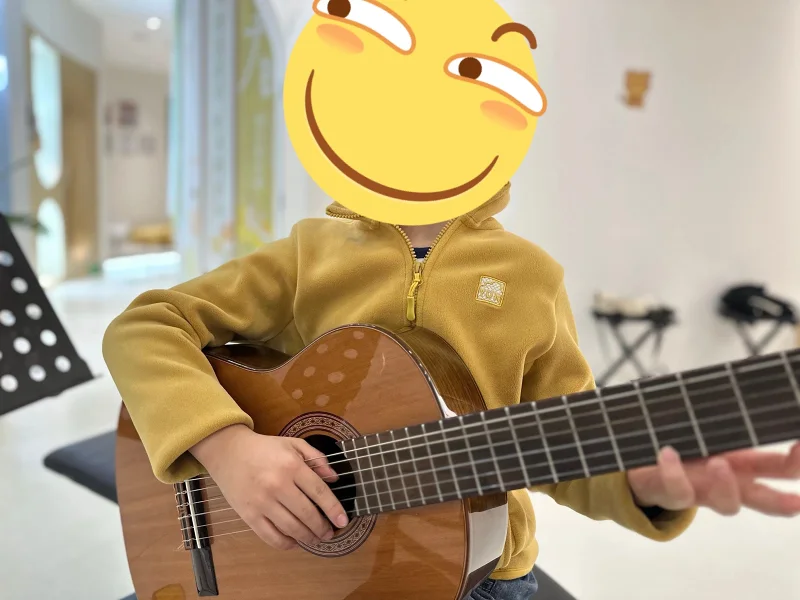 嘉豪