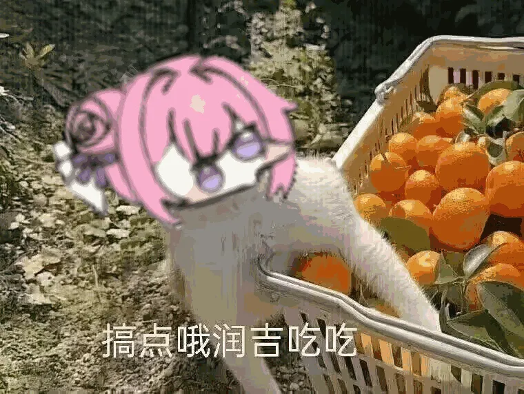 doro,表情包