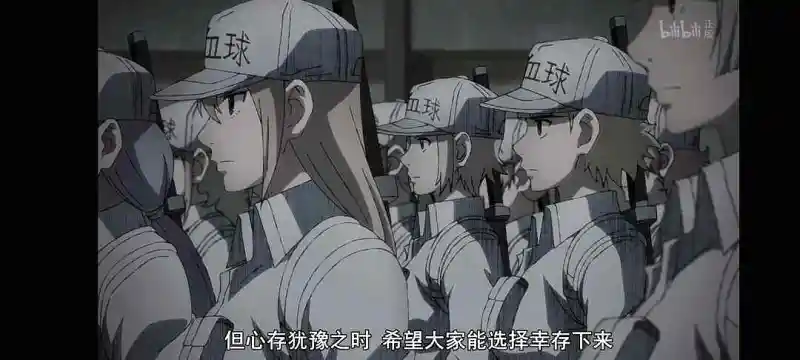 动漫专区,番剧资源,工作细胞