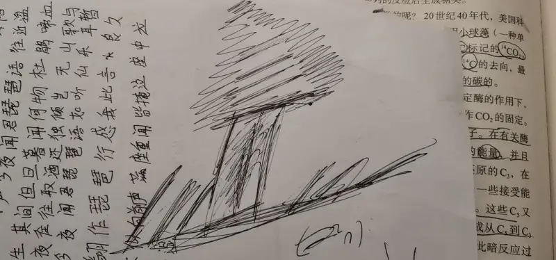 现代狂放派艺术
