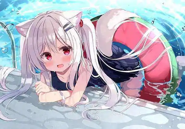 用户交流,涩图