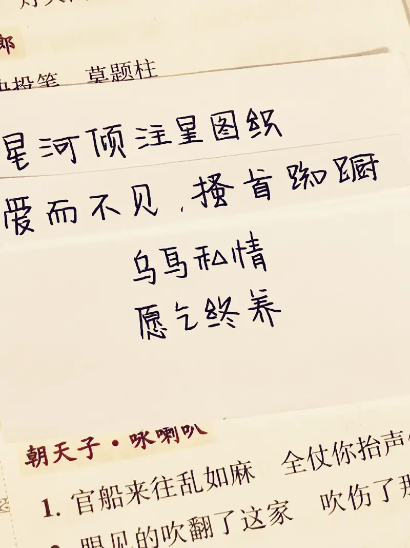 星辰社,手写,字,书法,练字,硬笔练字,硬笔