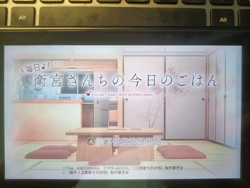 用户交流,SWITCH,卫宫家今天的饭