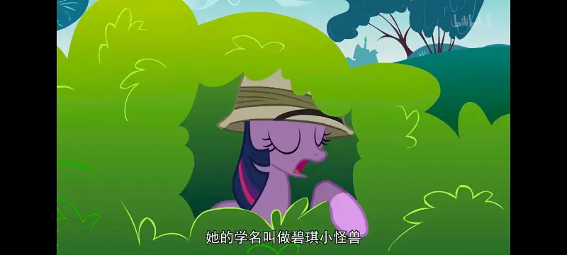 小马宝莉,小马宝莉友谊魔法,彩虹小马,我的小马驹,动画,动漫,番剧,ACG