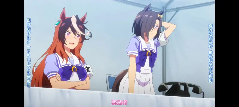 赛马娘,赛马娘PrettyDerby,赛马娘第二季,番剧,动画,动漫,二次元,ACG