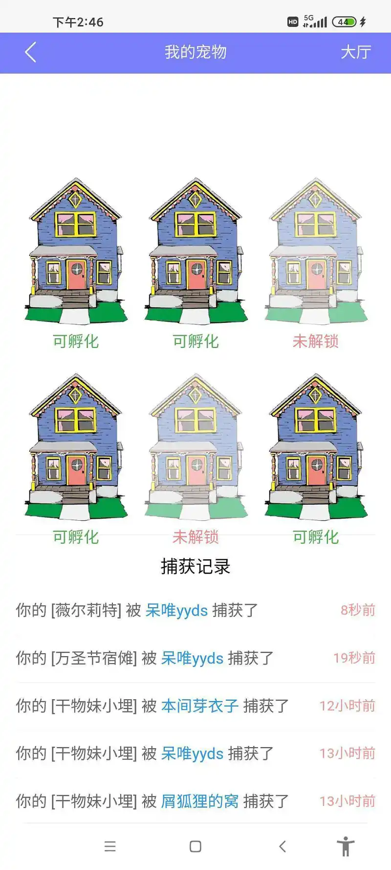 闲聊茶馆,宠物