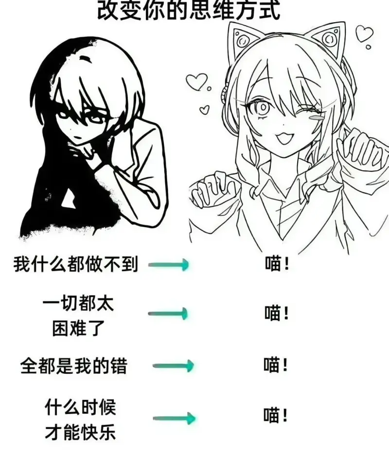 汤姆猫的悲惨经历