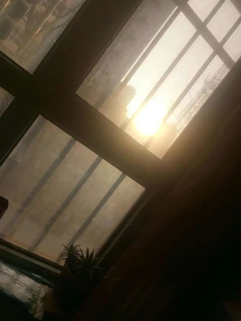 偷偷摸个鱼~