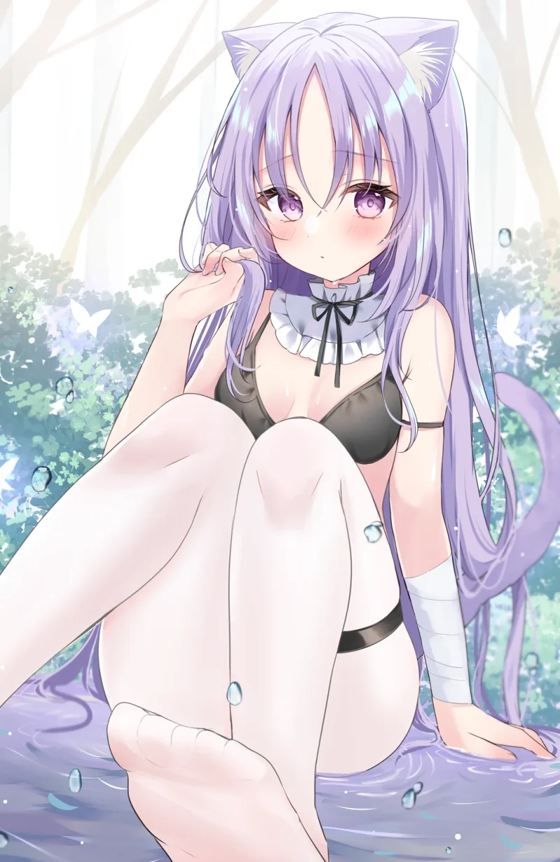 猫娘,涩图,二次元