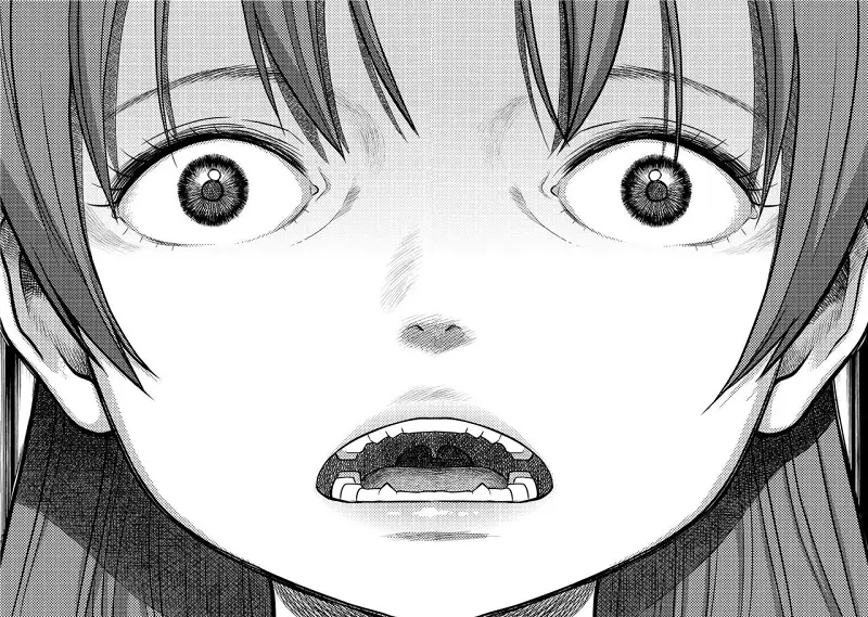 魔法少女小圆,同人,漫画,归途的魔女