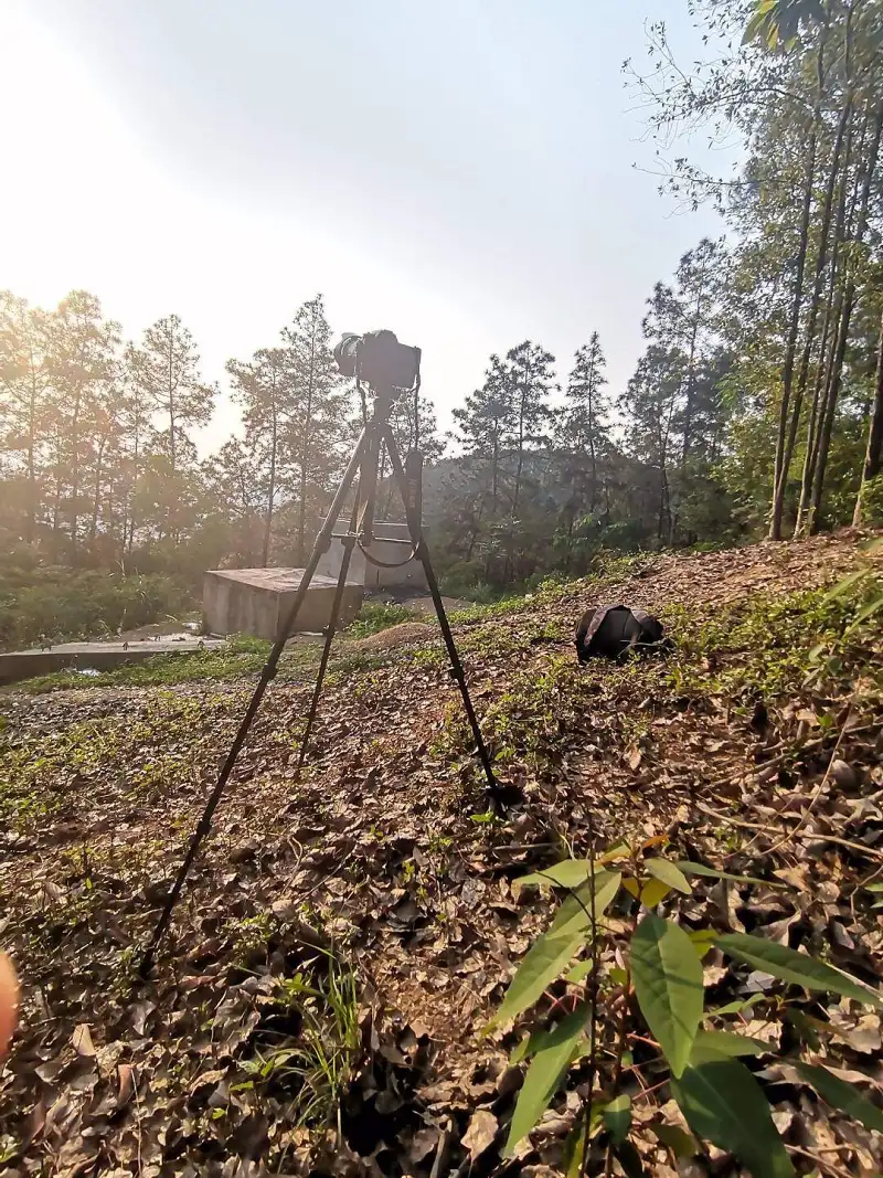人生中第一次拍延迟