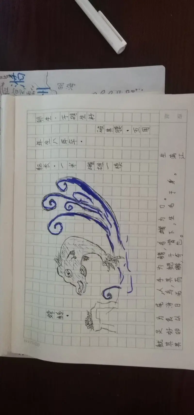 设定集,新大陆,奇幻