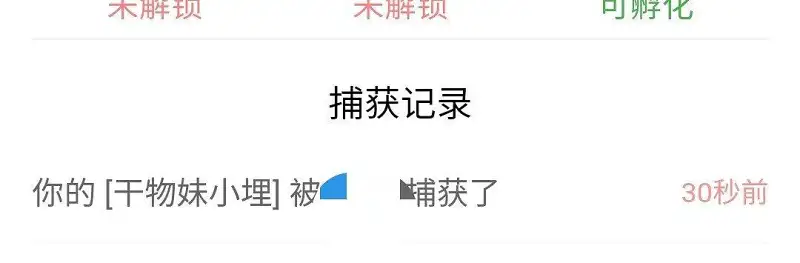 闲聊茶馆,宠物