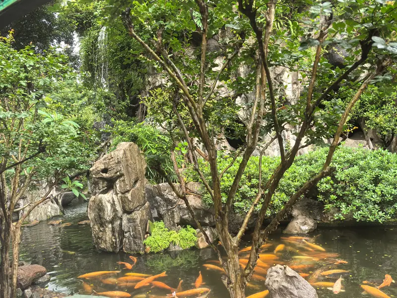 玩,波奇,孤独,开心,简单,生日