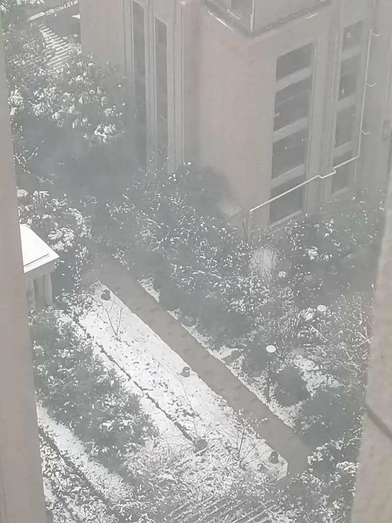 下雪啦